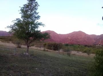 Foto · Vendo 7 Ha Cruz Grande