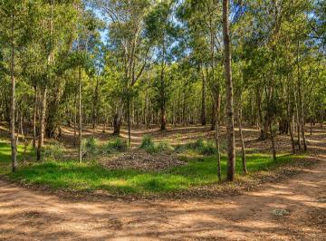 Terreno , La Lucila del Mar · Lote en Venta en El Pinar de Lucila del Mar de 1200 m².