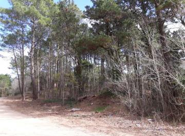Terreno · 1136m² · Código 1585 - Lote en Cariló - Hornero E/palmera y Paraíso