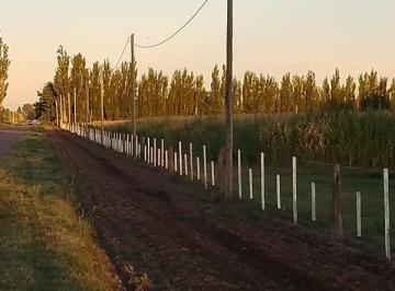 Campo · 350m² · 5 Ambientes · Imporante Propiedad Agricola Ganadero