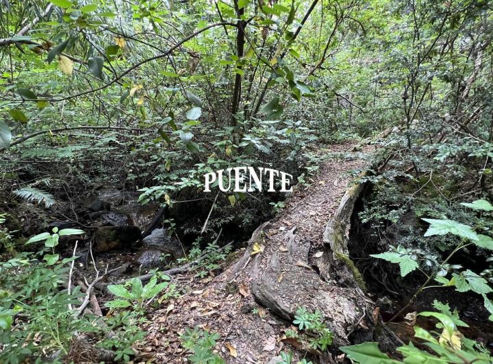 Terreno · 5036m²