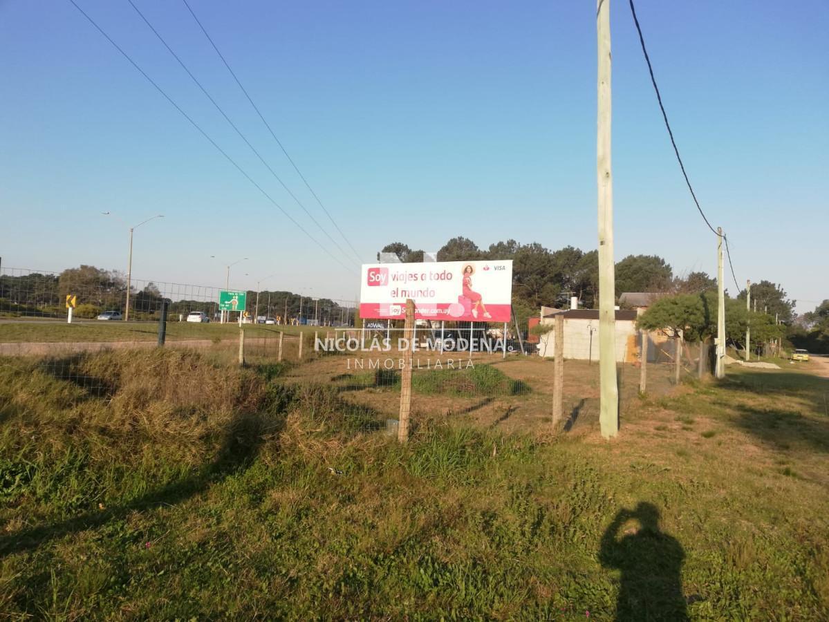 Tío Tom, Punta Ballena ,Punta Ballena,Otros Paises,  Punta Ballena, Maldonado