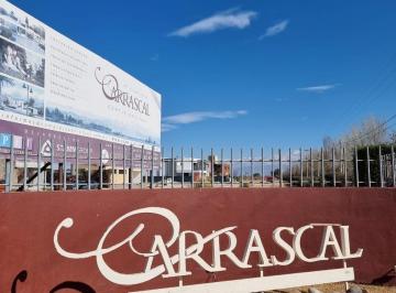 Terreno , Luján de Cuyo · Lindísmo Lote en Barrio Privado Carrascal, Lunlunta!