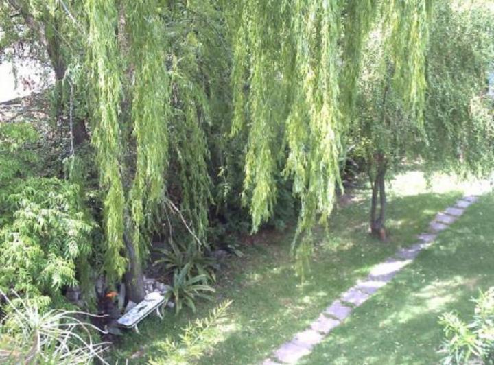 Terreno · 500m² · 12 Ambientes