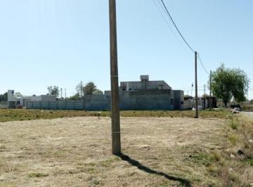 FAE-FAE-504_2 · Lote. | Matheu Al 300