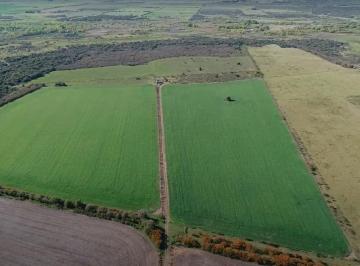 Campo · 2310000m² · Campo - Costa del Uruguay