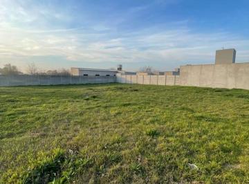 FAE-FAE-505_2 · Lote. | San Martin