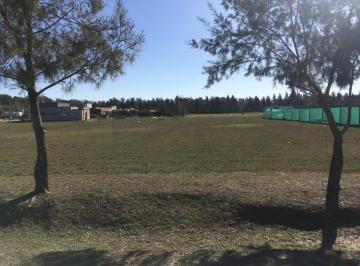 Terreno · 1m² · Lote en Venta en Campos de Roca II