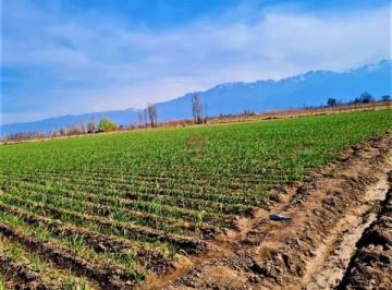 Quinta vacacional · 40m² · 2 Ambientes · Greenwood Vende en El Corazon de Vista Flores Hermosa Finca Ideal Para Cultivo, Actualmente con Ajo