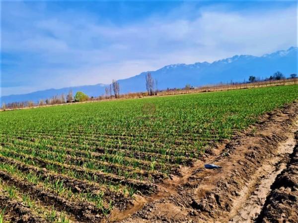 Quinta vacacional · 40m² · 2 Ambientes