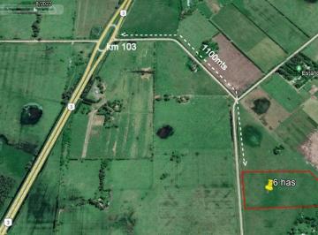 Terreno · 6m² · 6 Hectáreas en San Miguel del Monte