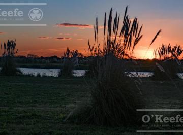 Terreno · 1006m² · Lote en Venta en Puerto Nizuc - Oportunidad de Inversión en Guillermo Hudson