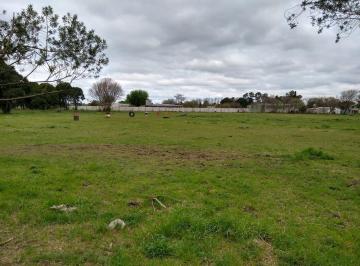 Campo · 16200m² · Parcela Muy Buena Ubicación 1,6 Hectáreas
