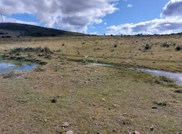 Foto1 · Campo en Partido Norte