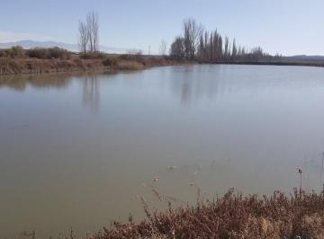Terreno , El Carrizal · Finca 245 Has en Venta - Lujan de Cuyo