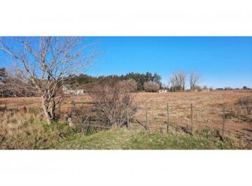 Campo · 57189m² · Fraccion de Campo en Ibarlucea Ruta 34 S 57.189. - m²