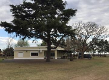 Campo , Ramallo · 53 Hectáreas Sobre Ruta 9 con Hermosa Casa en Ramallo