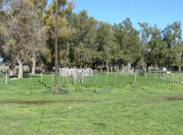 Campo · 110m² · Campo en Venta en Arditi Magdalena - Alberto Dacal Propiedades