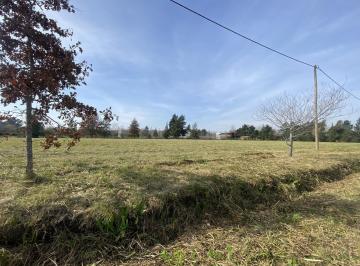 Terreno · 442m² · Terreno en Venta en 409/ 139 y 141 Buona Terra Villa Elisa - Alberto Dacal Propiedades