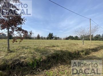Terreno · 442m² · Terreno en Venta en 409/ 139 y 141 Buona Terra Villa Elisa - Alberto Dacal Propiedades