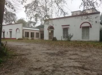 Campo · 700m² · 25 Ambientes · Campo - Berisso