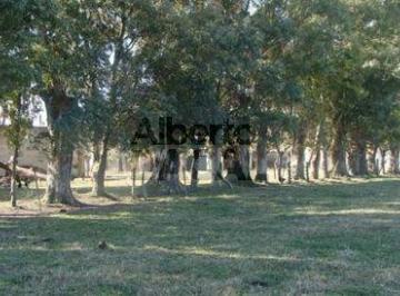 Campo · 4540000m² · Campo - Magdalena