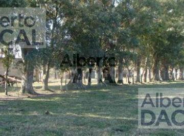 Campo · 4350000ha · Campo - Magdalena