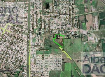 Campo · 81374m² · Campo - Arrecifes