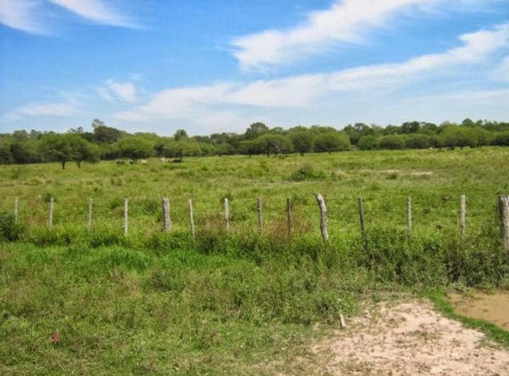 Campo · 2025m² · 1 Ambiente