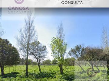 Terreno · 180000m² · Terreno - Canning (Ezeiza)