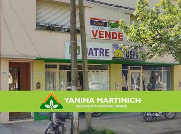 Casa de 6 ambientes, Carmen de Areco · Propiedad con 2 Locales Comerciales en Pleno Centro - Carmen de Areco