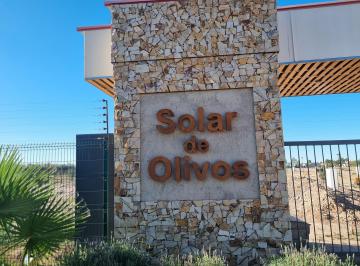 Terreno , Luzuriaga · Lote en Venta B° Privado Solar de Olivos - Maipu