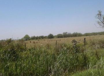 Campo · 818000m² · Campo en Nuevo Torino