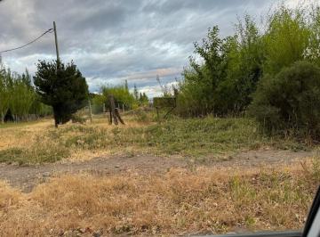 FRI-FRI-769_2 · Oportunidad! Venta Lote en Los Antiguos