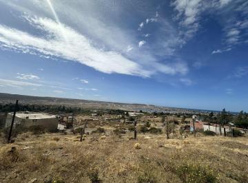 FRI-FRI-770_2 · Quinta. | Los Bayos