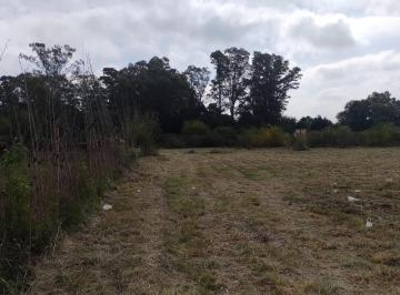 Terreno , Cañuelas · Desarrollo - 16 Lotes de 800 m² en Barrio Peluffo, Cañuelas. Calle French