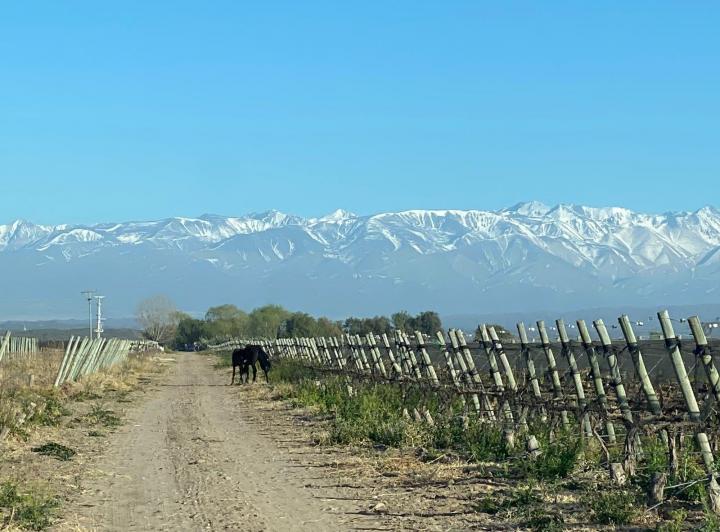 Bodega-Galpón · 270m²