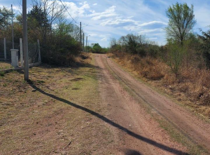 Hermosa vista de un sendero cercado con postes de madera y alambre