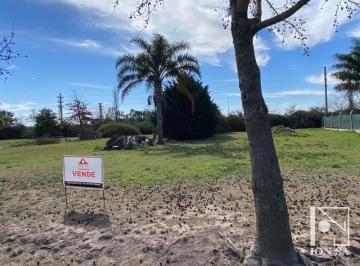 Terreno · 856m² · Lote en Plaza Grande