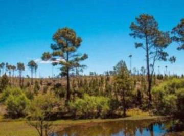Terreno 10264m² Venta · Venta de Hectarea en Yacanto de Calamuchita - Tlc0696