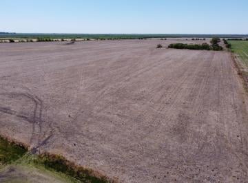 Campo de 1 ambiente, Herrera · 280 Has Campo Agrícola Ganadero