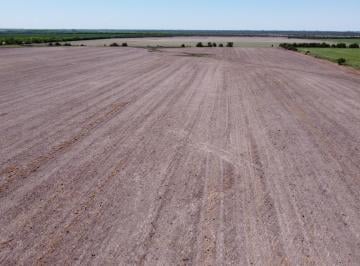 Campo de 1 ambiente, Herrera · 215 Has Campo Agrícola Ganadero