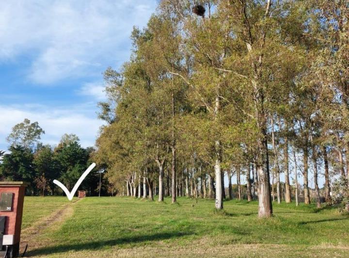 Terreno · 1200m²