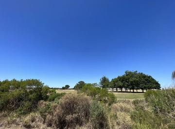 LHP-LHP-1833_2 · Excelente Lote Al, Golf - Haras Santa Maria
