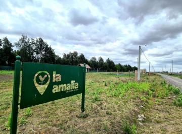 Terreno de 1 ambiente, San Andrés de Giles · Barrio La Amalia - San Andres de Giles - Excelente Terreno