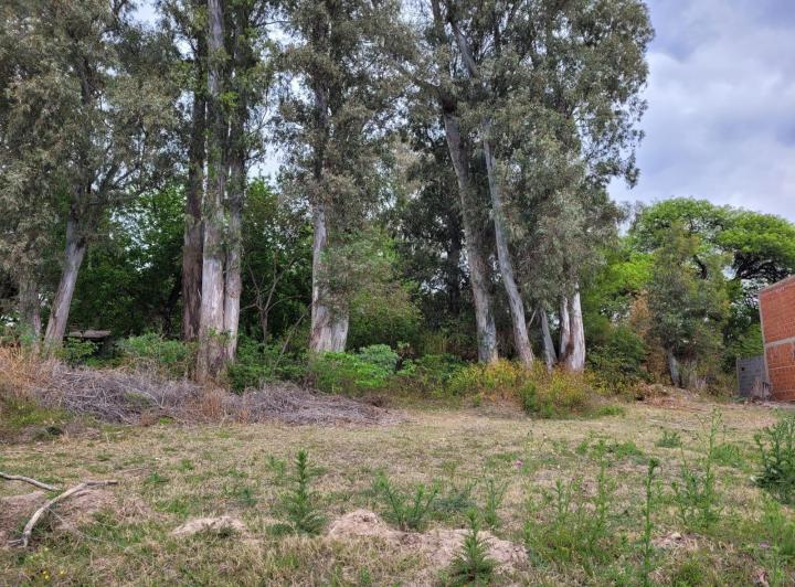 Terreno · 890m² · 1 Ambiente