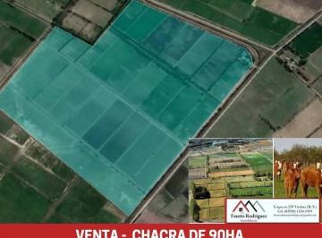 Campo de 2 ambientes, Viedma · Chacra - Viedma