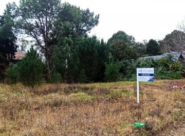 DEI-DEI-61_5 · Lote en Venta en Pinamar Zona Golf