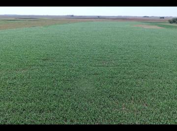 JSP-JSP-2967_2 · Venta de Campo en Comandante Giribone, Chascomús
