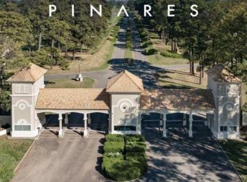 PMI-PMI-1696_2 · Pinares - Reventas de Lotes en Etapas 1, 2 y 3